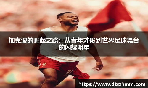 BG真人官网